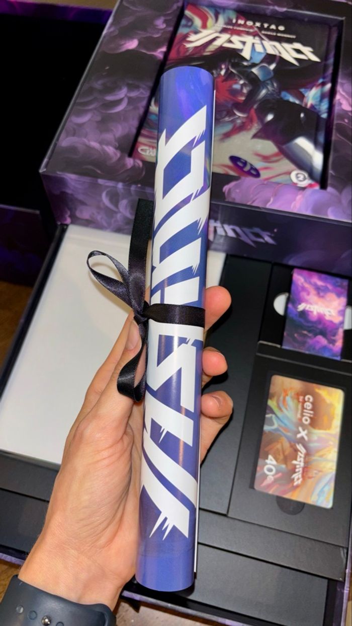 Box Collector Instinct Tome 2 Inoxtag - photo numéro 9