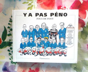 Y a pas péno Fous de foot Ed. Flammarion