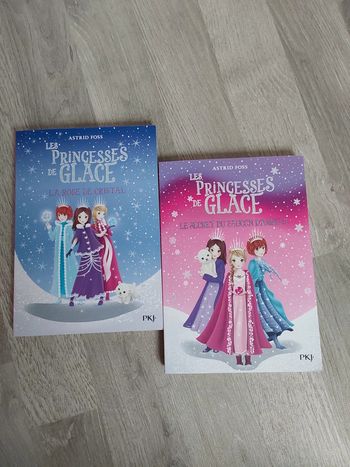 Lot de 2 livres Les Princesses de glace