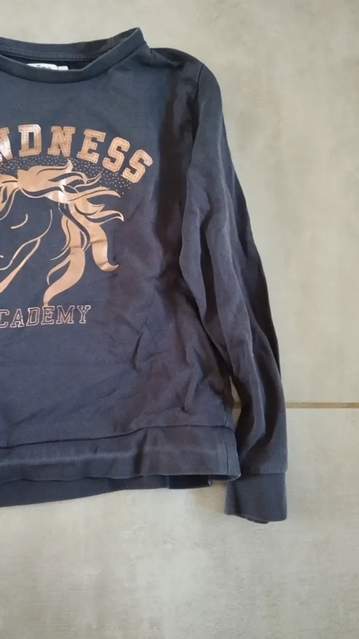 Pull bleu Gémo taille 10 ans fille - photo numéro 5