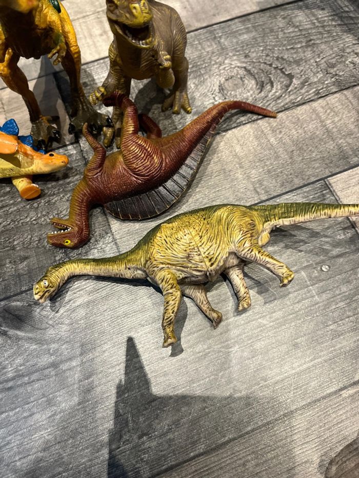 Dinosaures en bon état - photo numéro 4