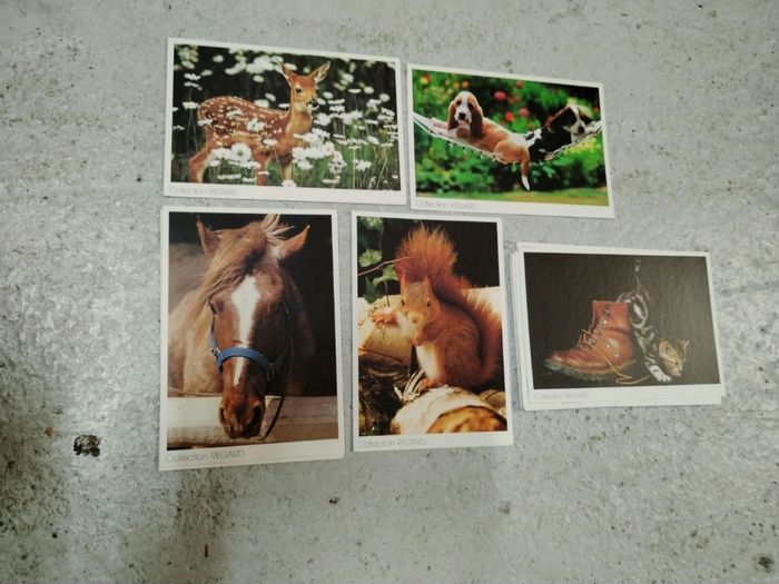 Carte postale Collection Regard