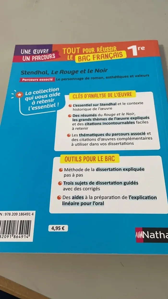 Le rouge et le noir (bac français) - photo numéro 7