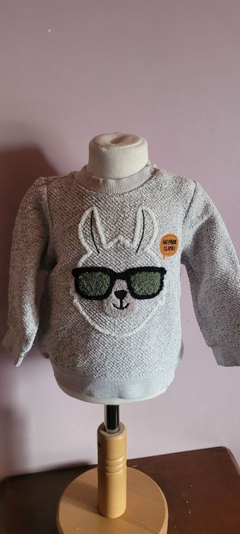 Pull lama 