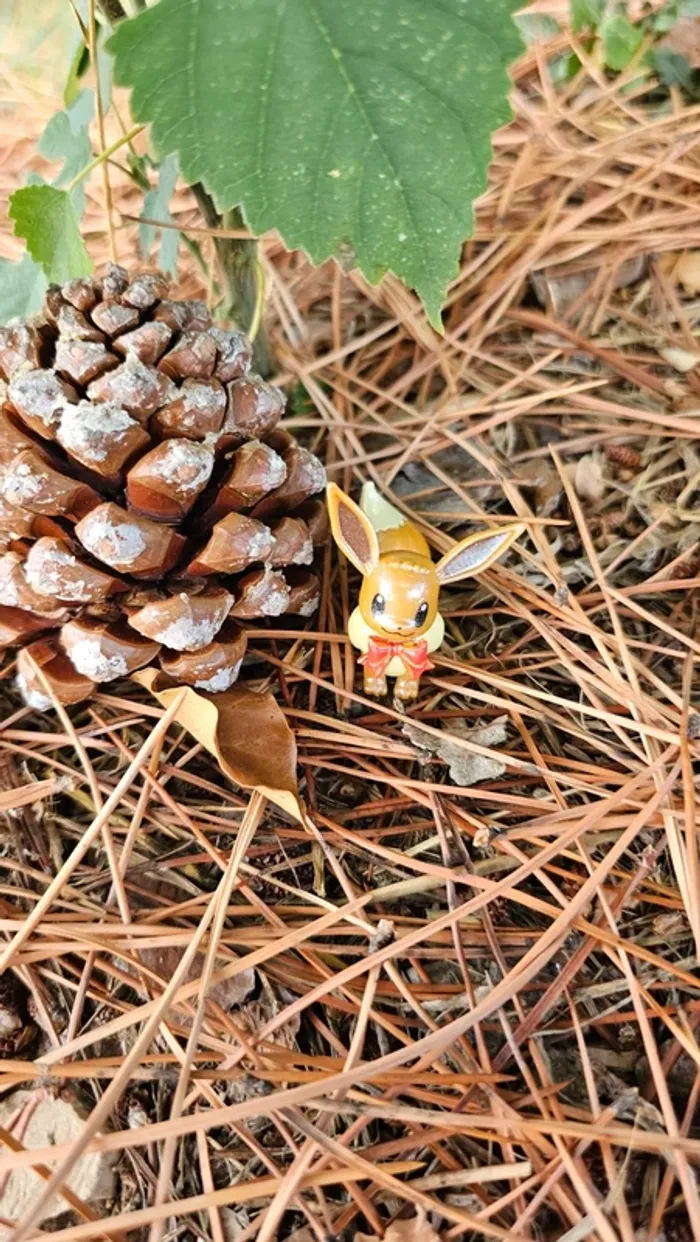 Super figurine Pokemon Nintendo Évoli - photo numéro 2