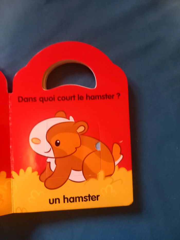 Jouons a cache cache - photo numéro 3