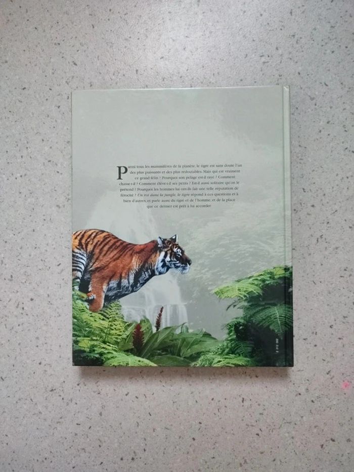 Un roi dans la jungle, le tigre - photo numéro 2