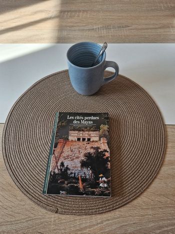 Livre la cités perdues des maya