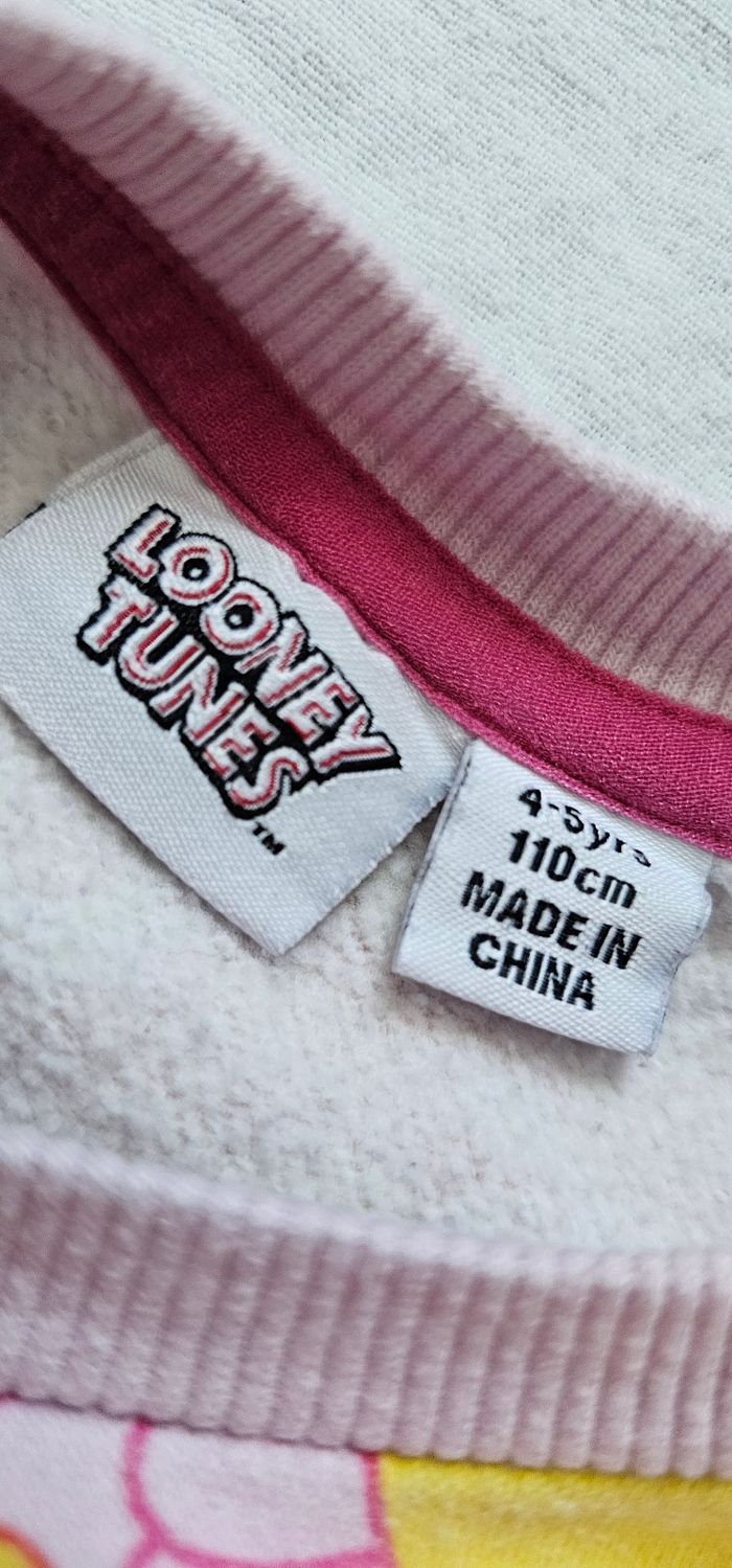 Lots de pulls sweats enfant de la marque Gabby - photo numéro 9