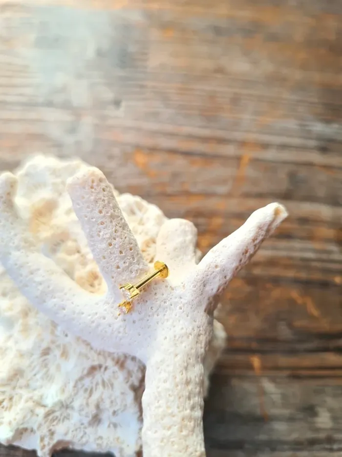 Superbe piercing atelier d'amaya - photo numéro 2