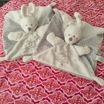 2 lapins gris blanc nicotoy