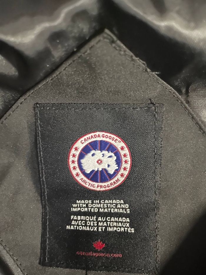 Canada goose - photo numéro 3