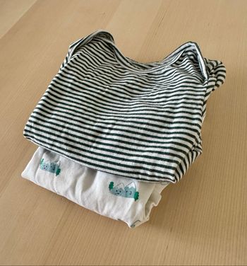 Lot 2 bodies manches longues - 24 mois
