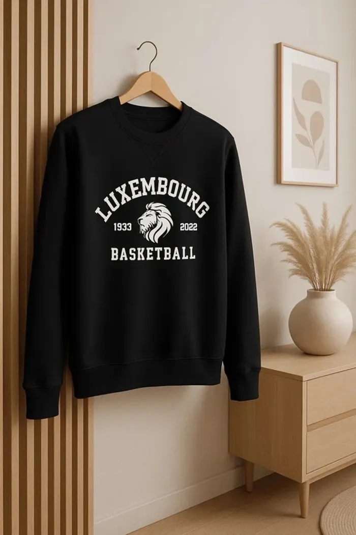 Pull ras le cou longue manche basketball taille M