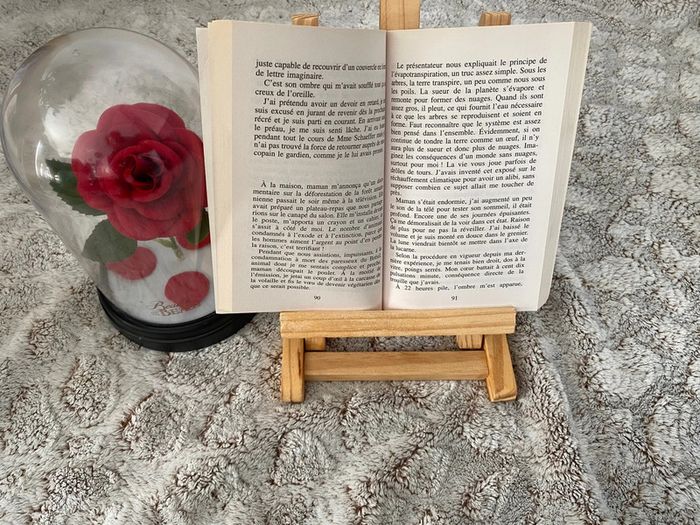 Livre le voleur d’ombres de Marc Levy - photo numéro 4