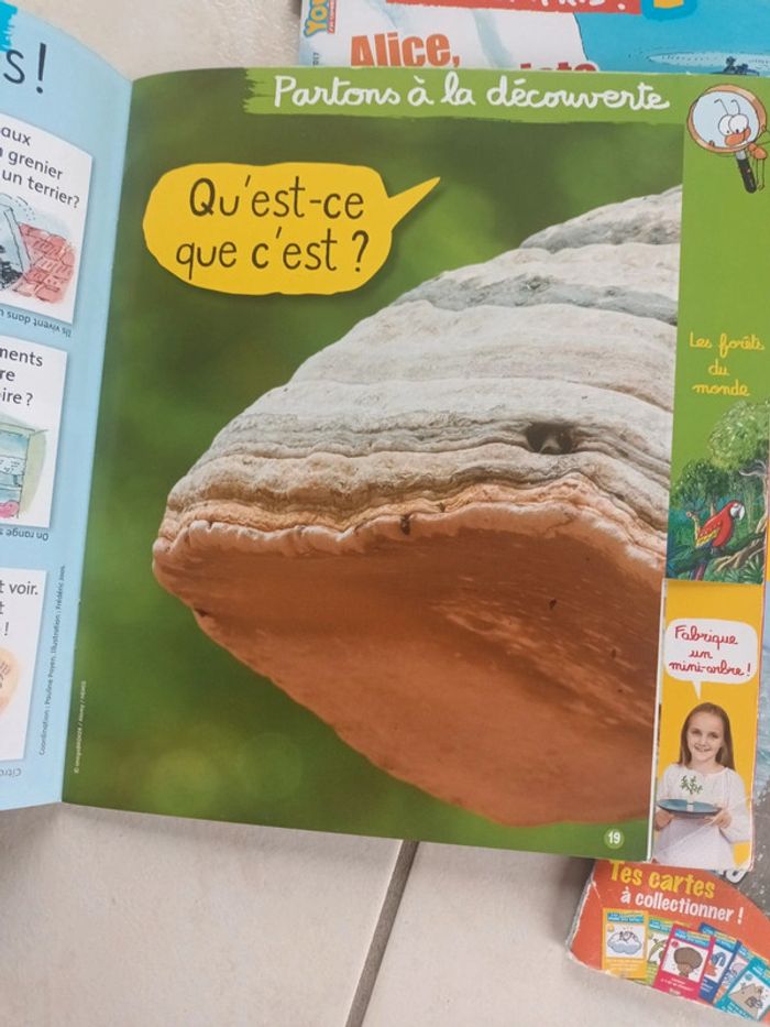 Lot de 9 magazines youpi j'ai compris 5-8 ans - photo numéro 6