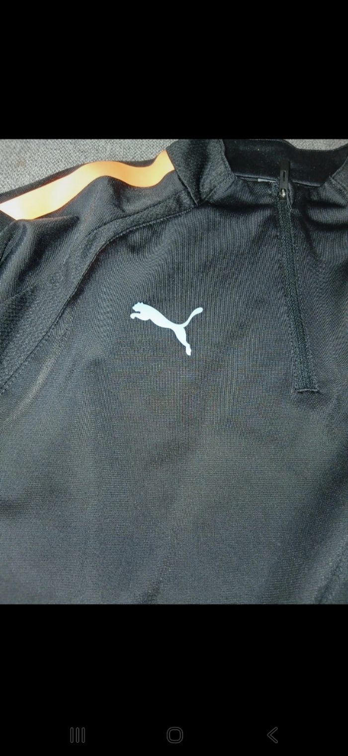 Sweet puma - photo numéro 7