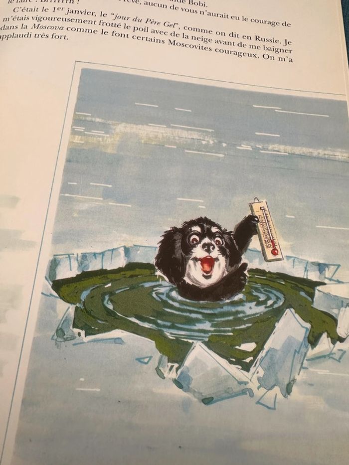 Livre Caroline en Russie reliure rouge édition limitée album bd Pierre Probst - photo numéro 6