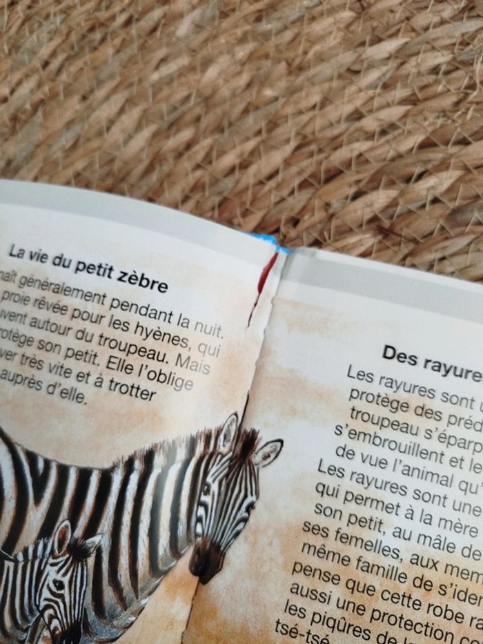 Livre animaux de la savane - photo numéro 4