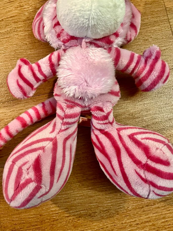 Diddlina zèbre rose - photo numéro 5
