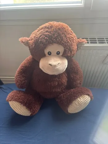 Peluche