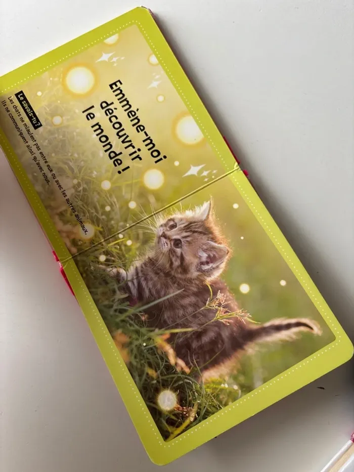 Livre, chats mignons - photo numéro 4