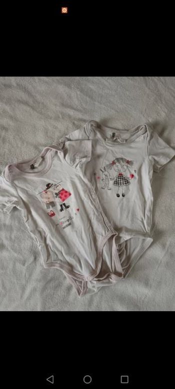 2 bodys