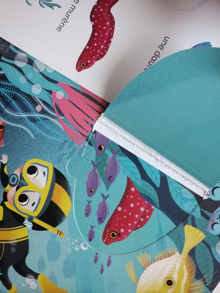 mon imagier à flaps - livre enfant - photo numéro 9