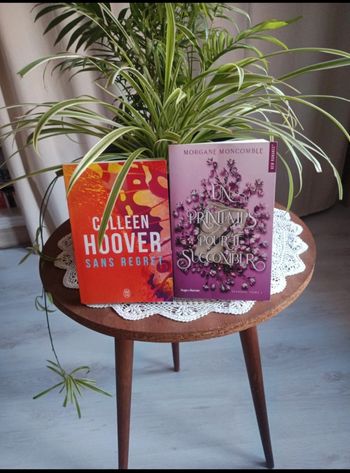 Lot de 2 livres new romance colleen hoover sans regret et Morgan Moncomble un printemps pour te succomber 