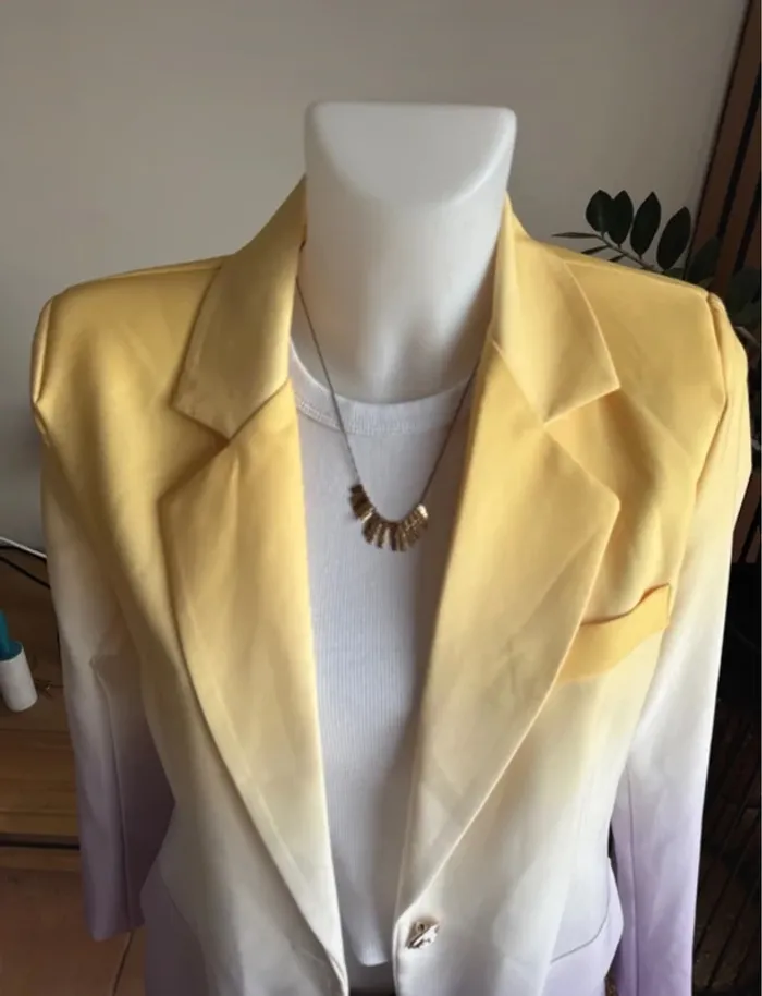 Blazer long tricolore - photo numéro 4