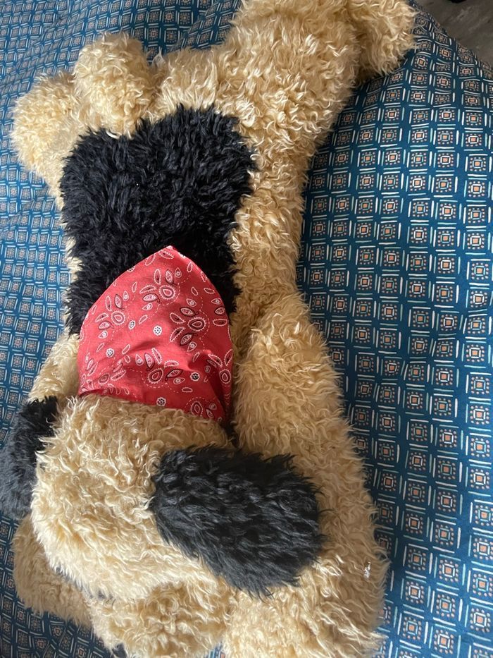 Porte pyjama vintage - photo numéro 7