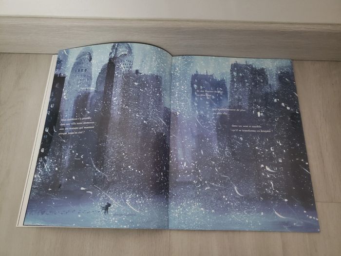 Livre quelque part dans la neige - photo numéro 7