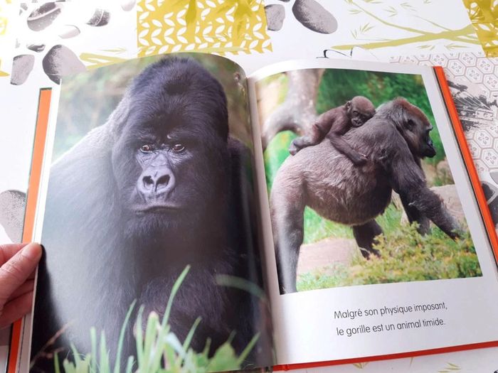 Livre :  Le monde  merveilleux des animaux  en  photos les singes - photo numéro 10