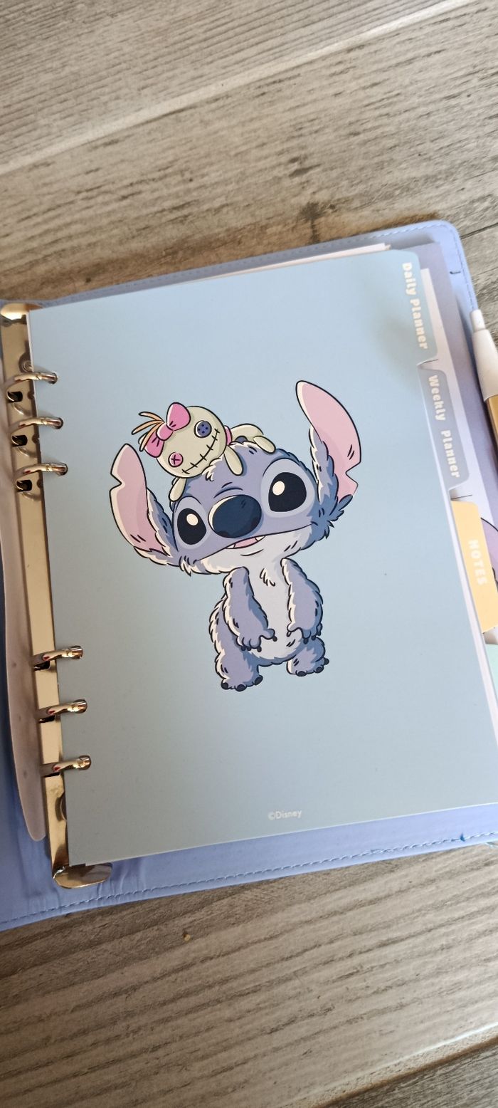 stitch - photo numéro 3