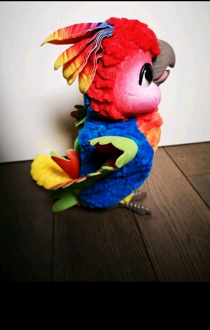 Perroquet show coco interactif - photo numéro 3