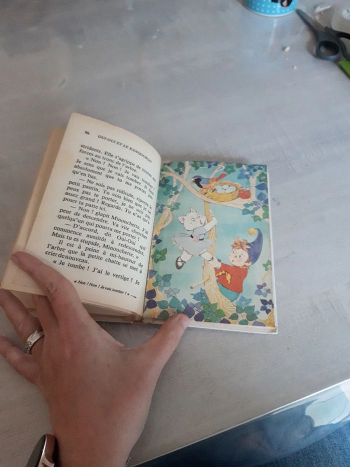 Oui-Oui et le kangourou - photo numéro 8