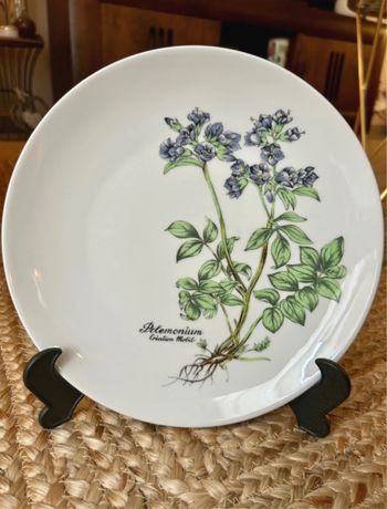 Assiette plate en porcelaine