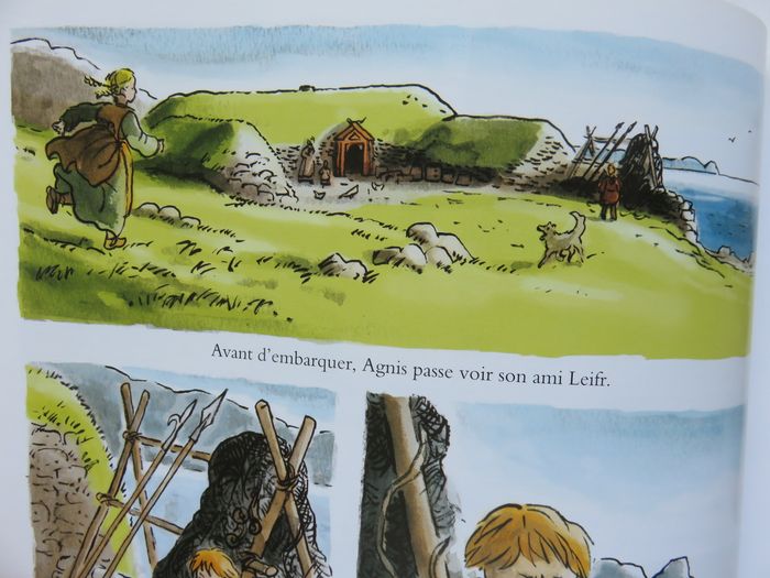 Documentaire jeunesse 8-13 ans : L'herbe verte du Groenland. Les Vikings au Xe siècle. (L'école des - photo numéro 9
