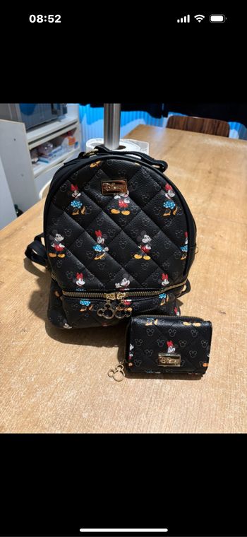 Magnifique Ensemble Minnie Et Mickey