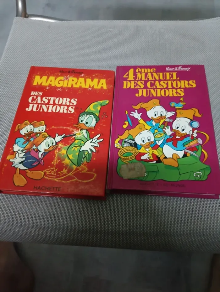 Lot livres castors juniors. - photo numéro 3