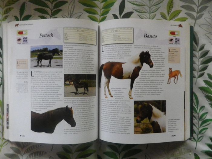 L'Encyclopédie des chevaux & poneys Ed. LLC - photo numéro 7