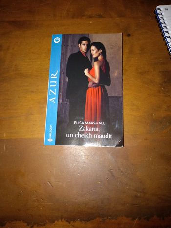 Zakaria, un cheikh maudit Harlequin