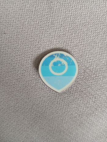 Pin's Pokémon Arène De Skifford