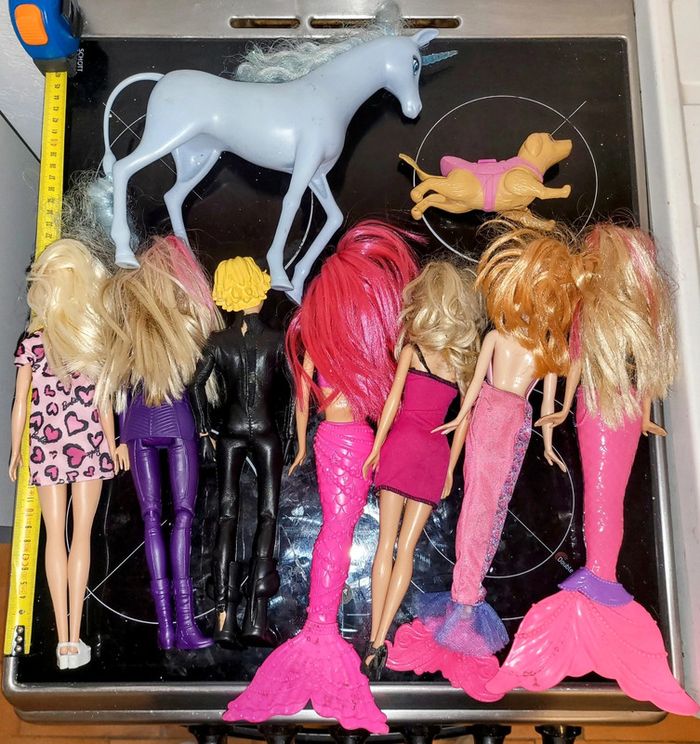 Lot de figurines Poupée Barbie et 30 Cm et animaux pour Barbie Mattel - photo numéro 2