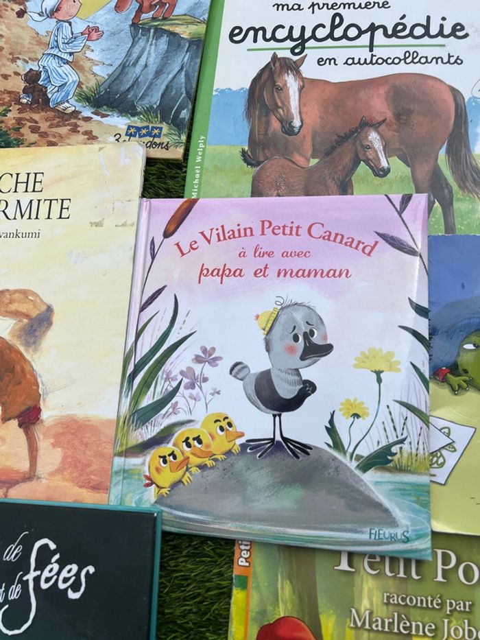 Gros lot de livres divers ( pas de vinted go ) - photo numéro 9