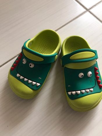 Crocs crocodiles