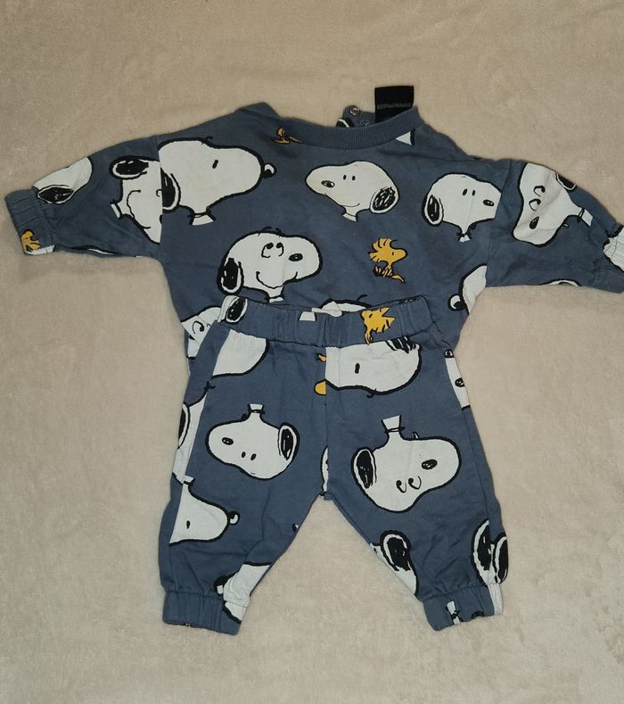 Ensemble snoopy