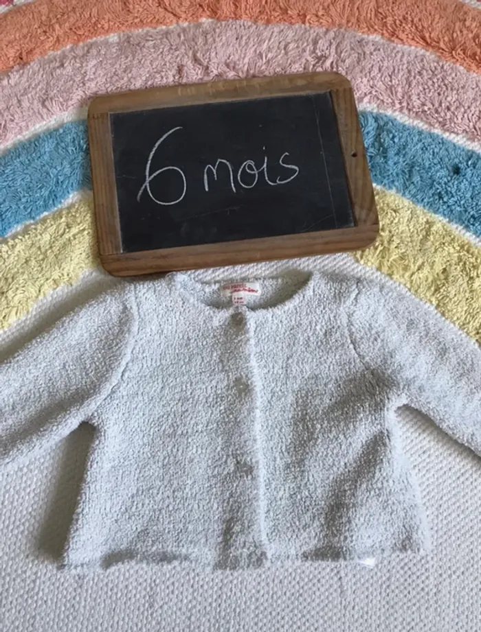 Gilet pingouin dpam - photo numéro 2