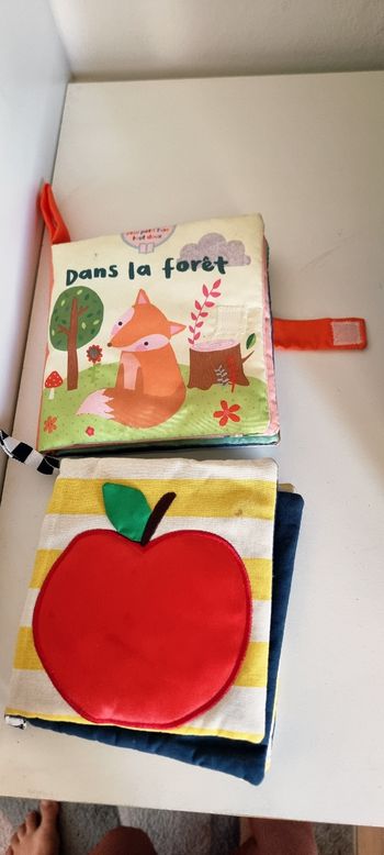 Livres en tissus