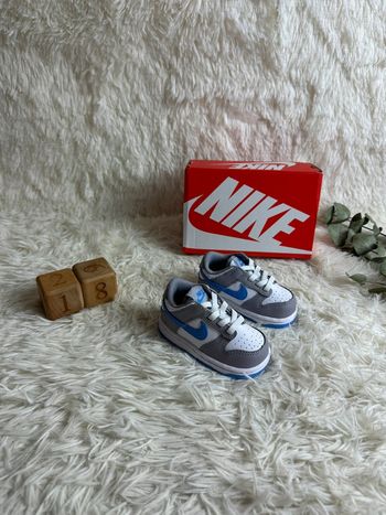 Paire de basket Nike Dunk low TDE taille 18,5